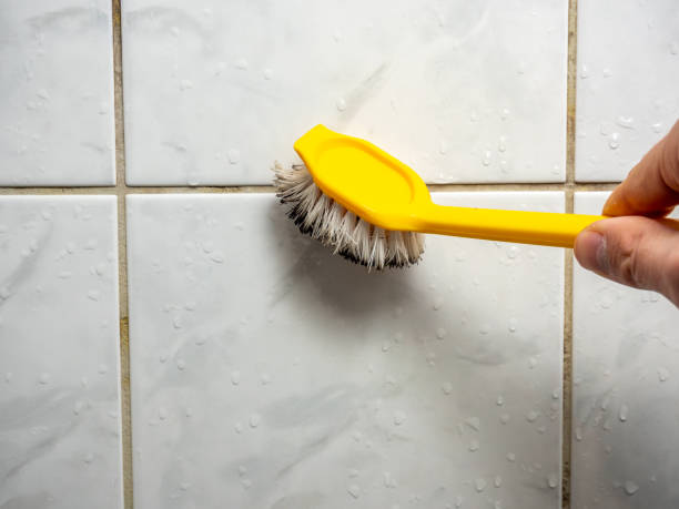 Best Office Mold Removal Services  in Mystic Island, NJ