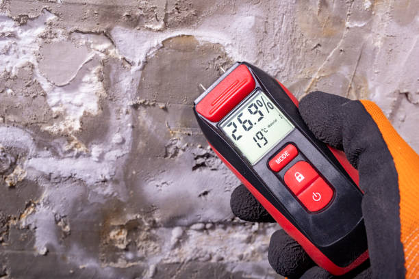Best Home Mold Removal  in Mystic Island, NJ