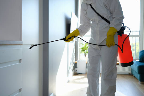 Best Attic Mold Removal  in Mystic Island, NJ