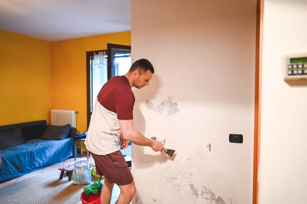 Best Mold Removal Company Near Me  in Mystic Island, NJ