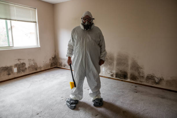 Best Commercial Mold Removal  in Mystic Island, NJ